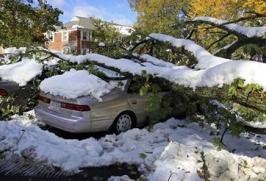 October 2011 Snow Storm Trees Fall on Cars